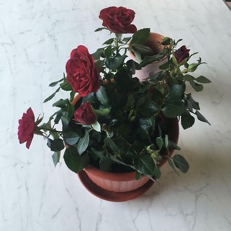 Villa Ermilia 컬벨리 외부 사진
