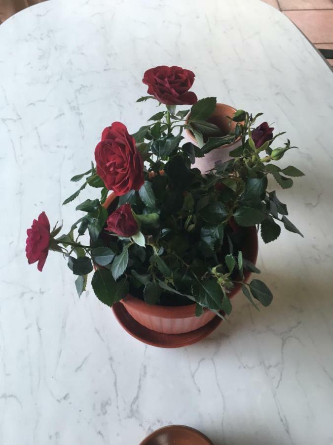Villa Ermilia 컬벨리 외부 사진
